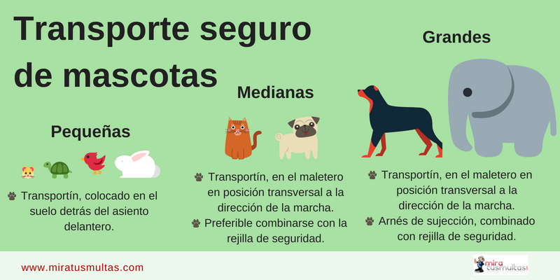 Transporte mascotas-Gráfico_miratusmultas
